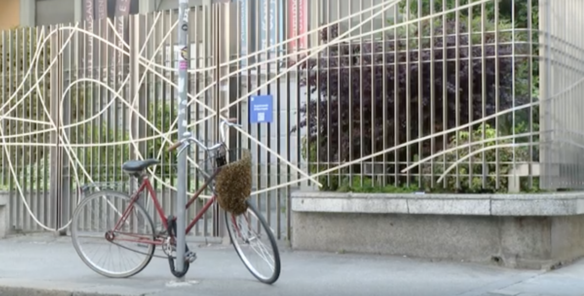 la bici