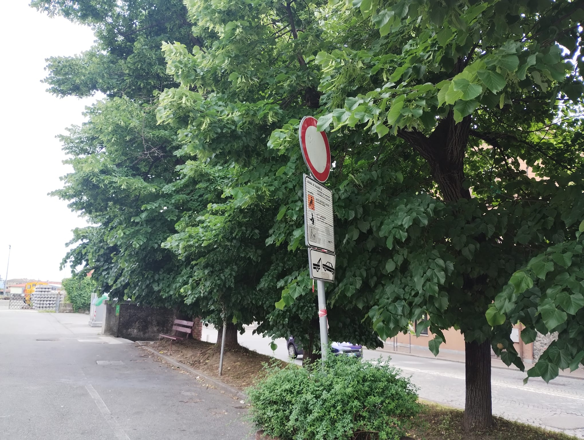 alberi