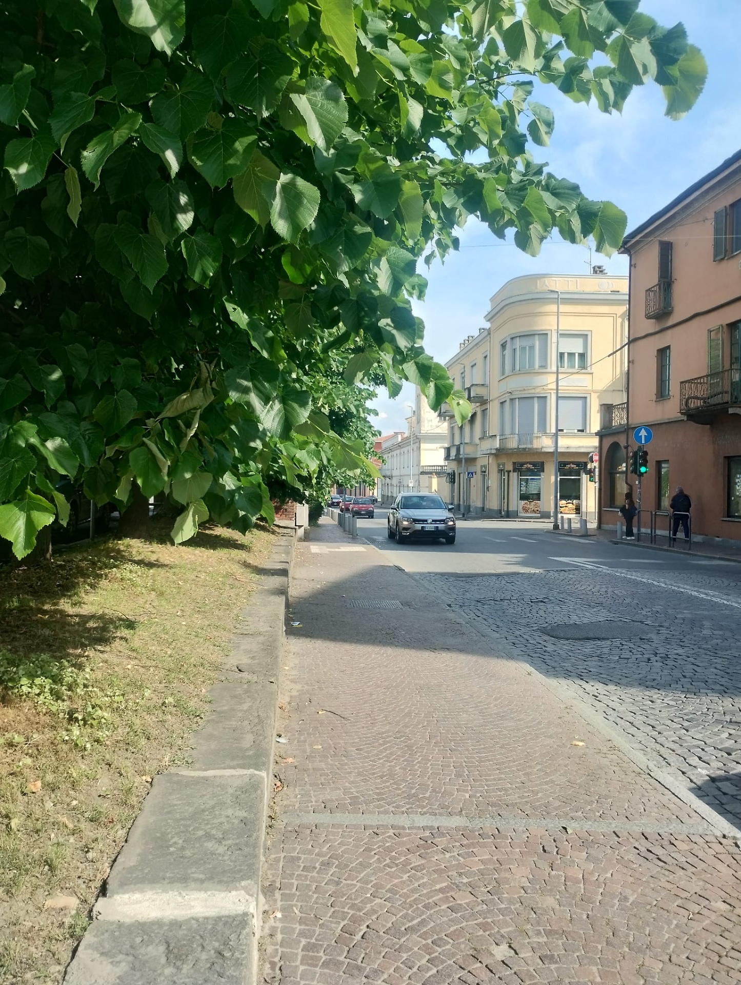 alberi