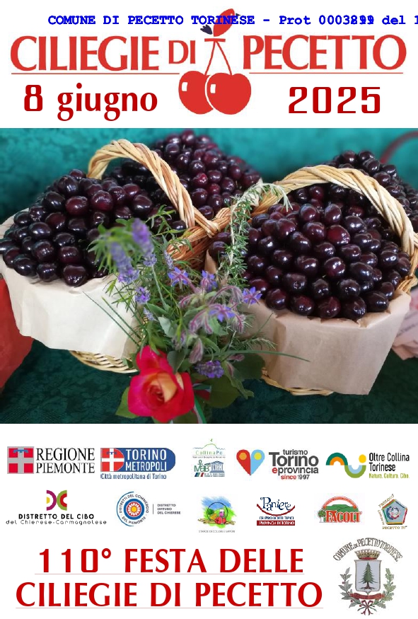 festa ciliegie