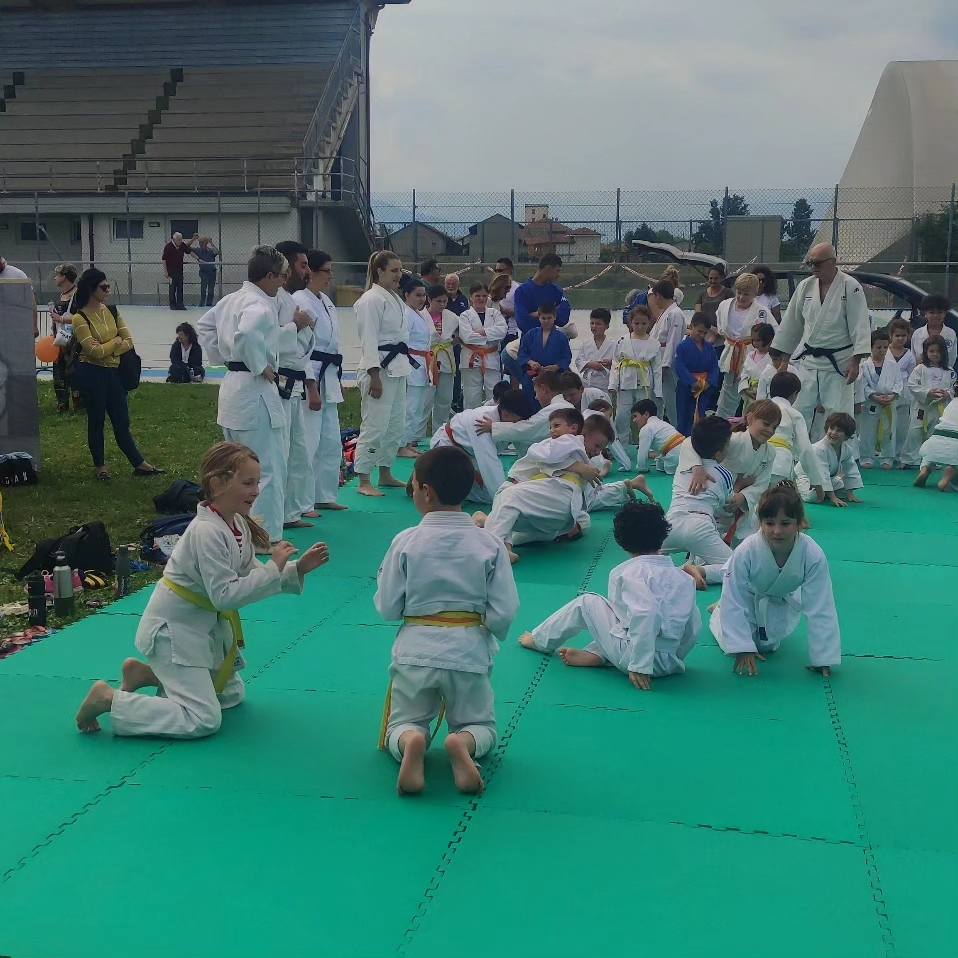 judo