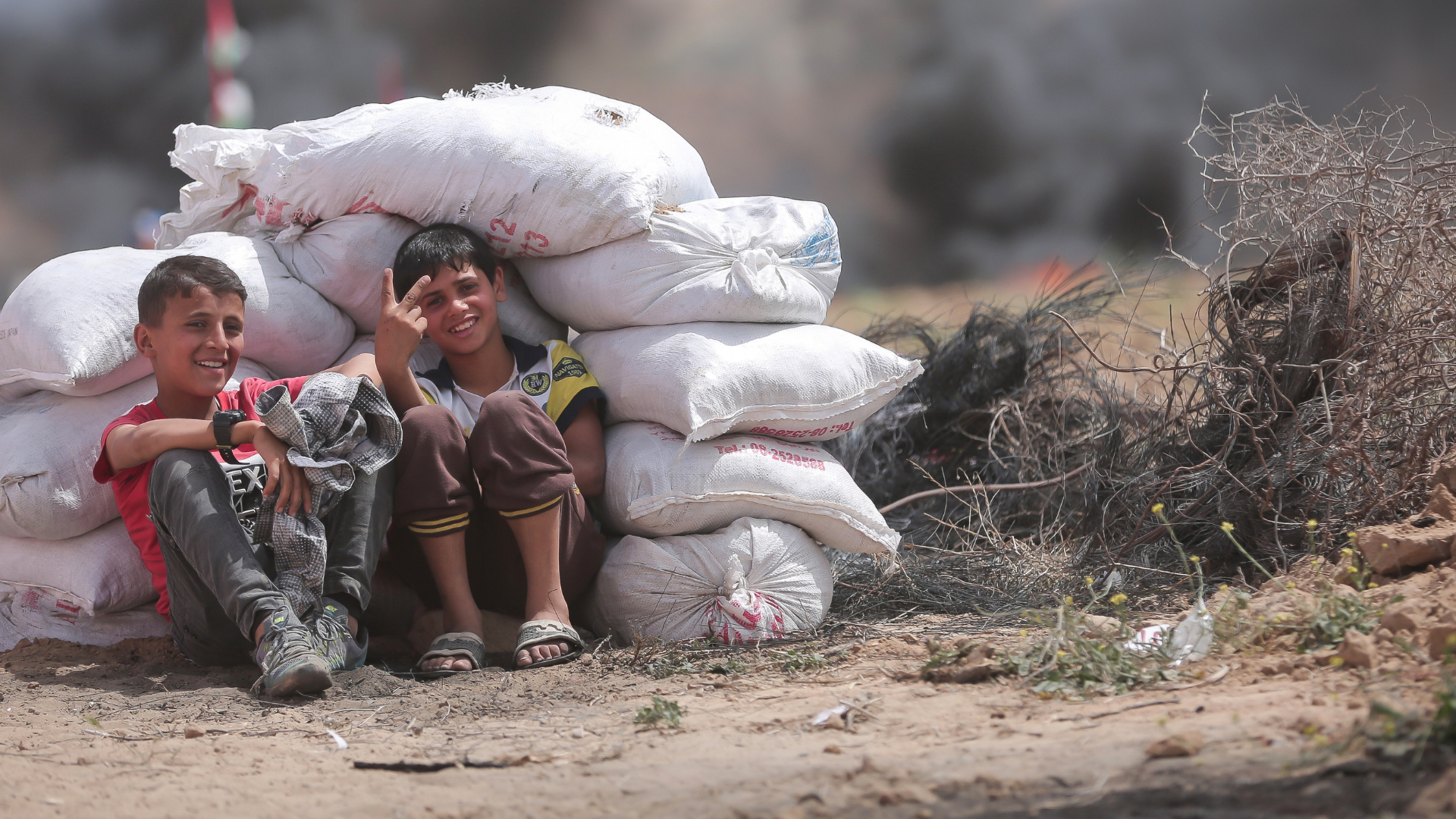 palestina