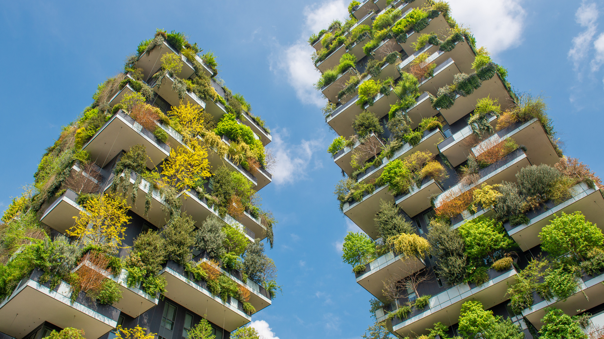 bosco verticale