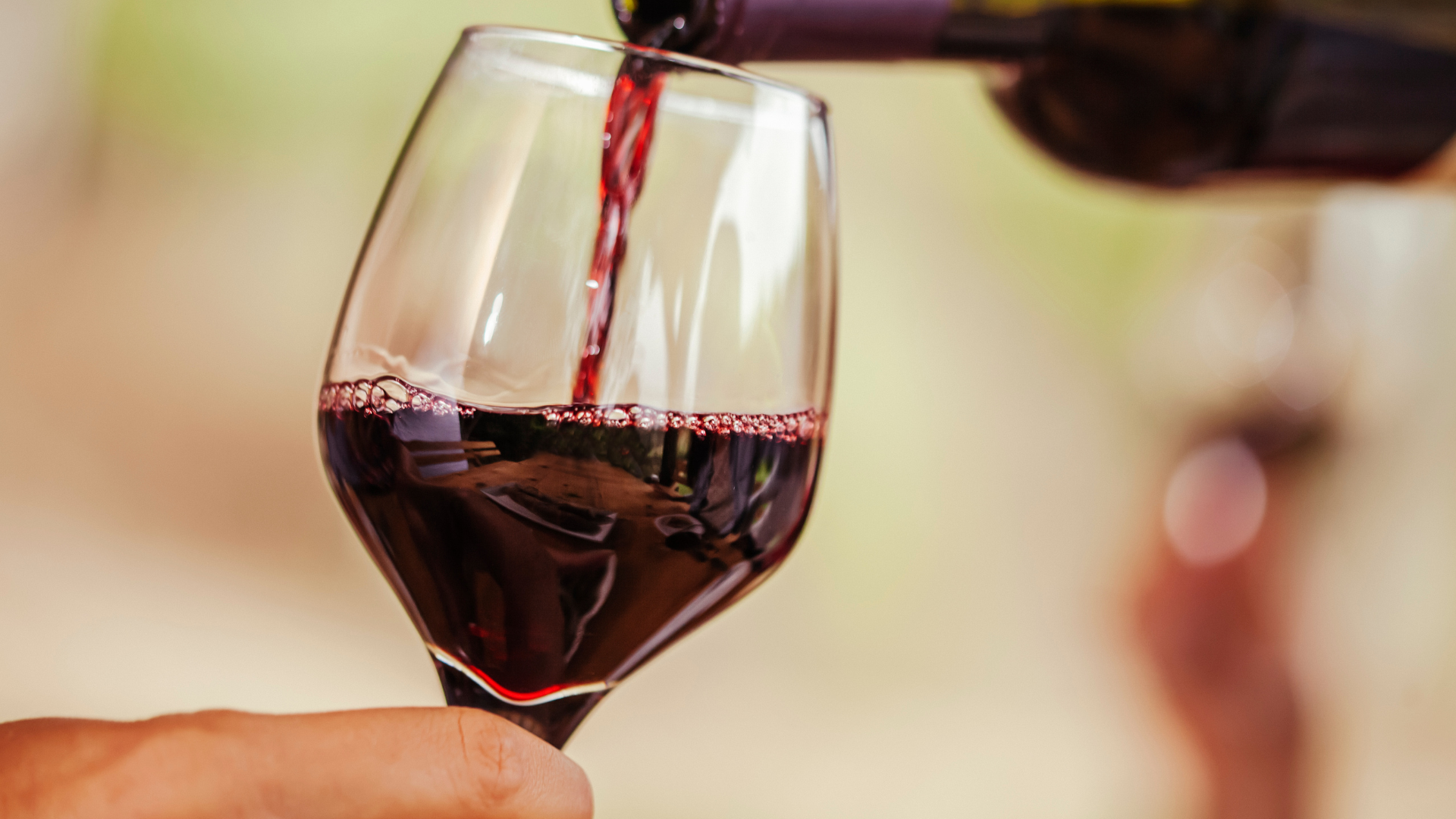 vino