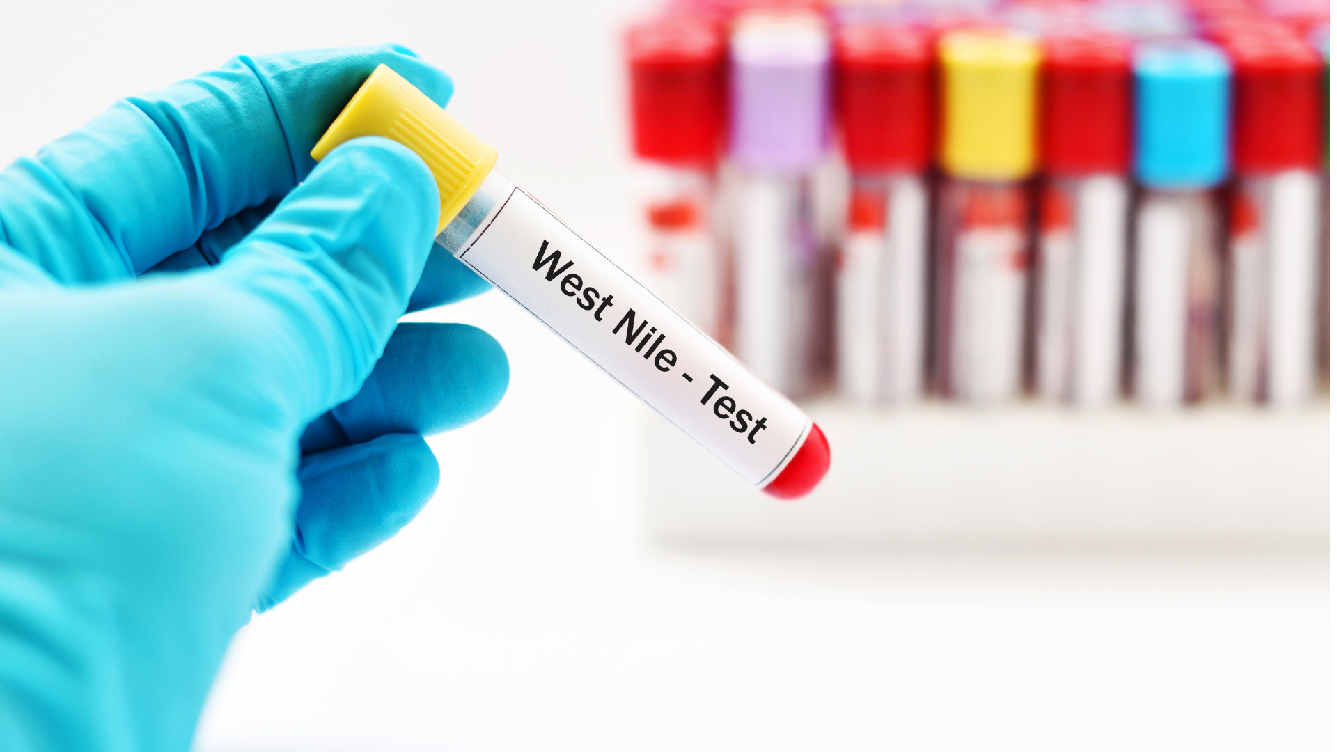 west nile