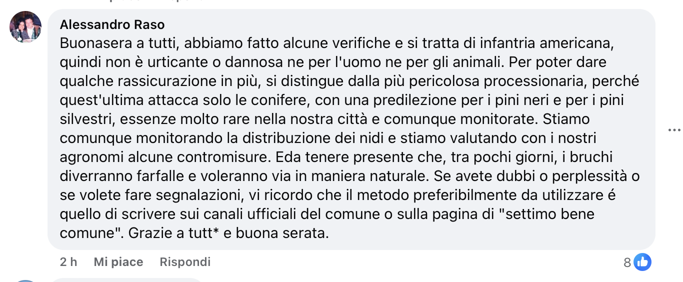 raso