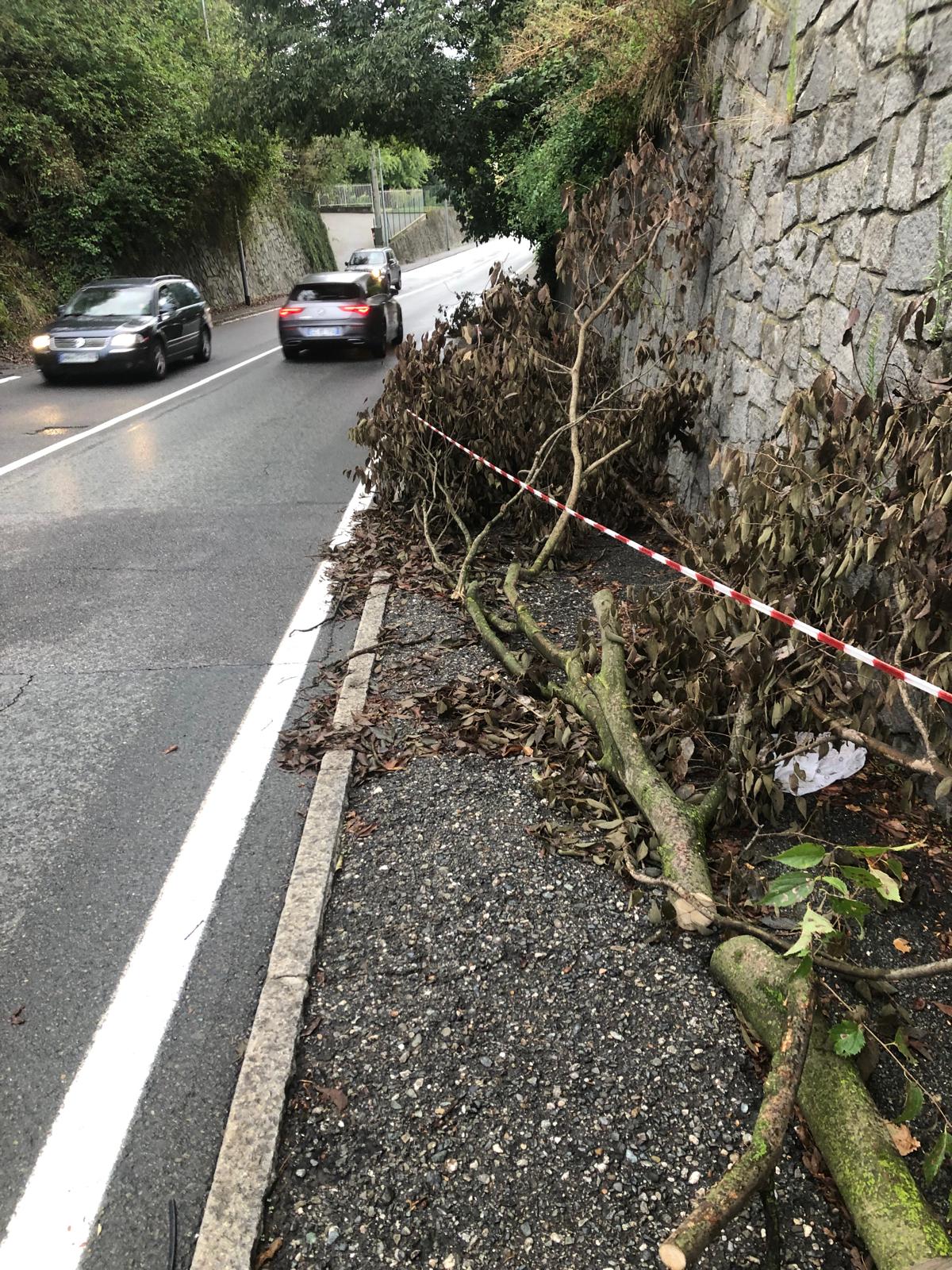 Via Miniere
