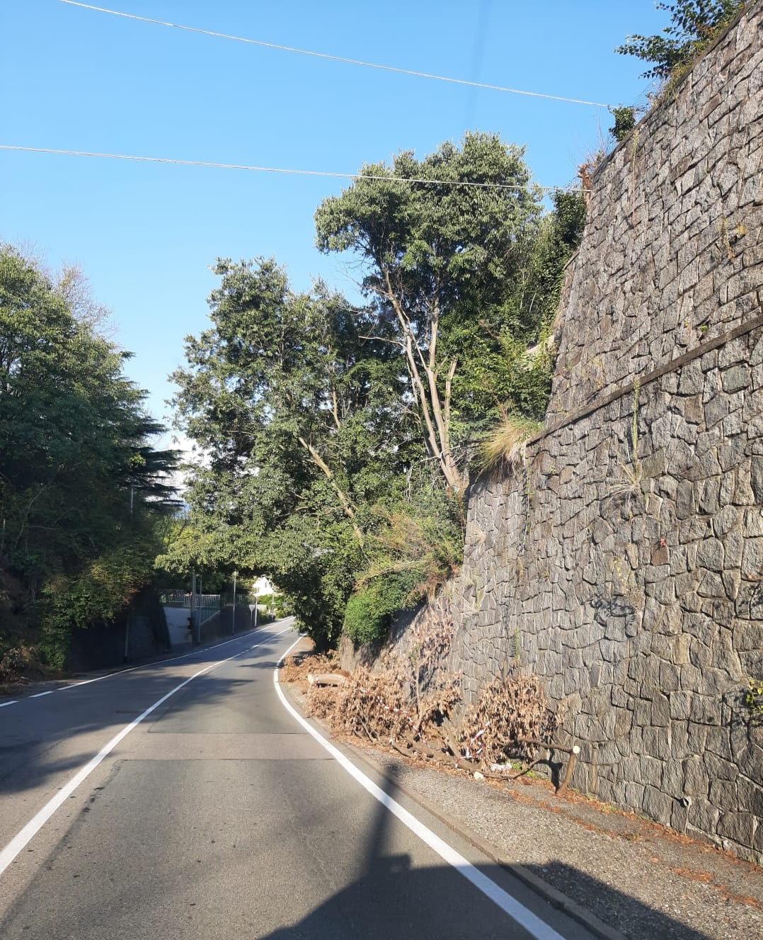 Oggi