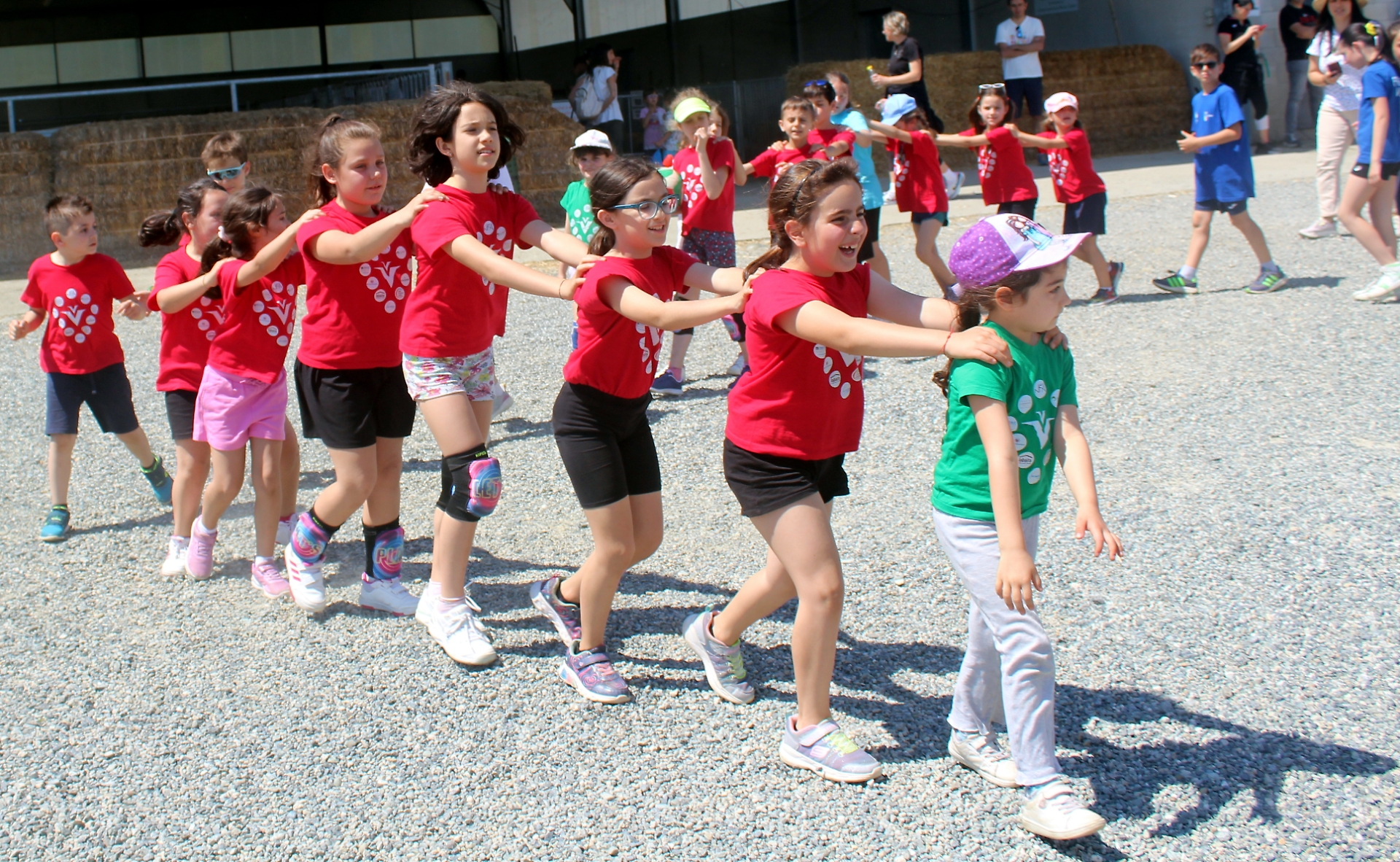 Vola Valley successo