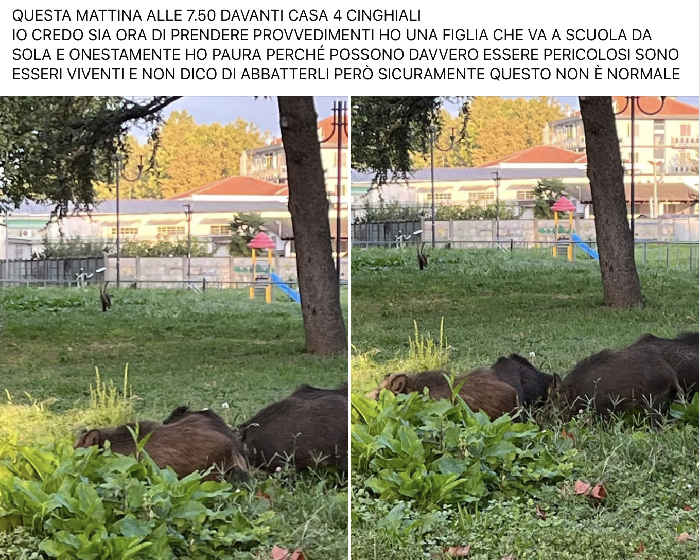attualità