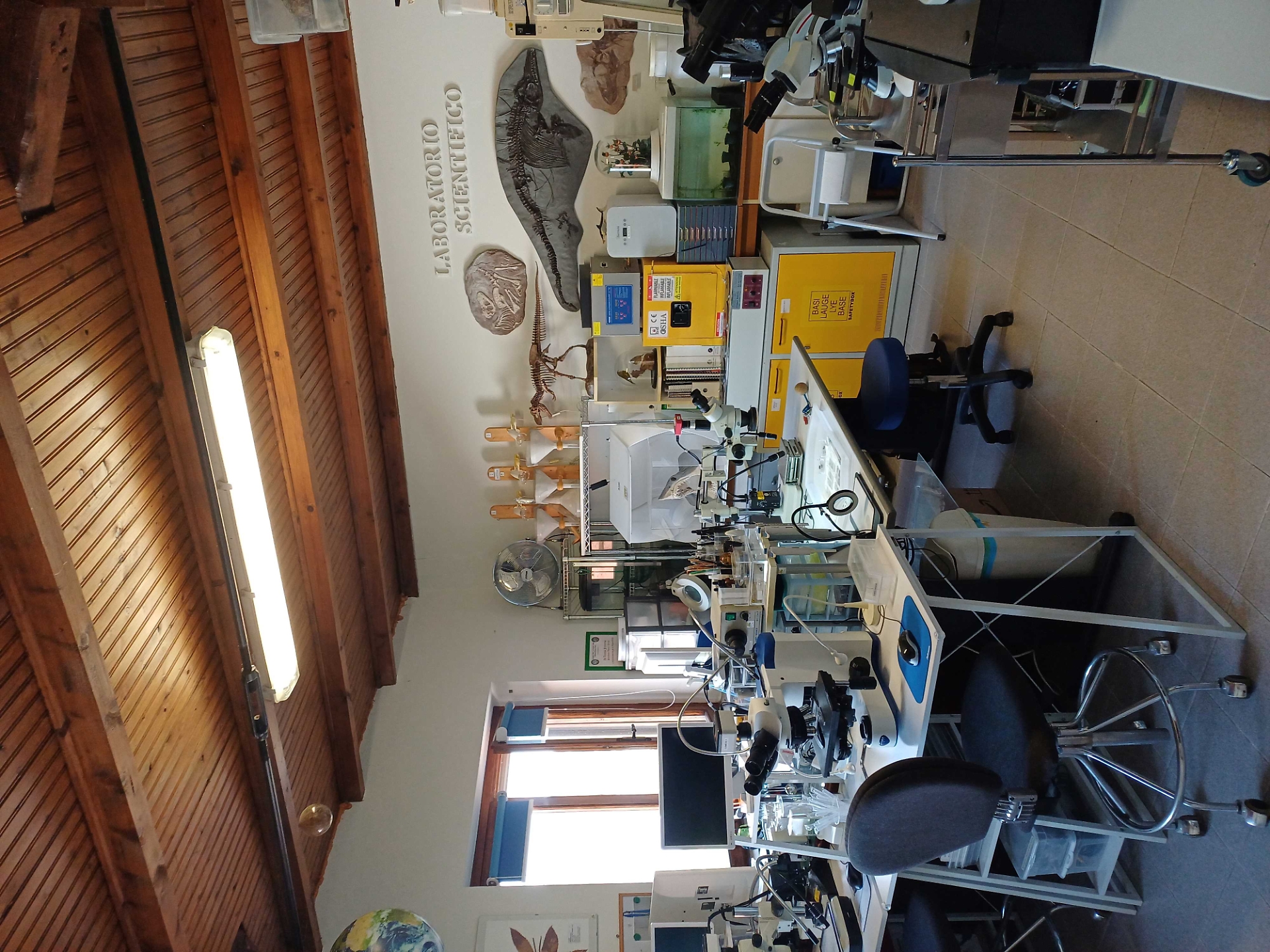 laboratorio