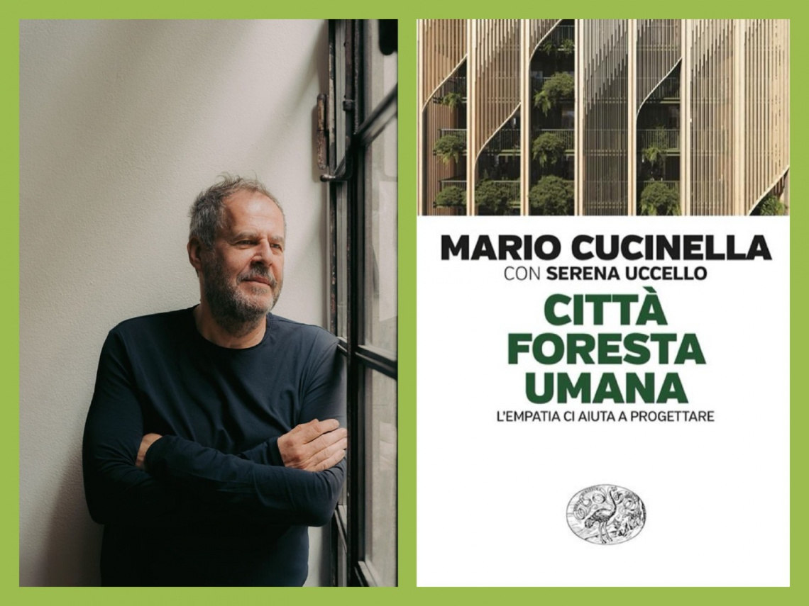 cucinella