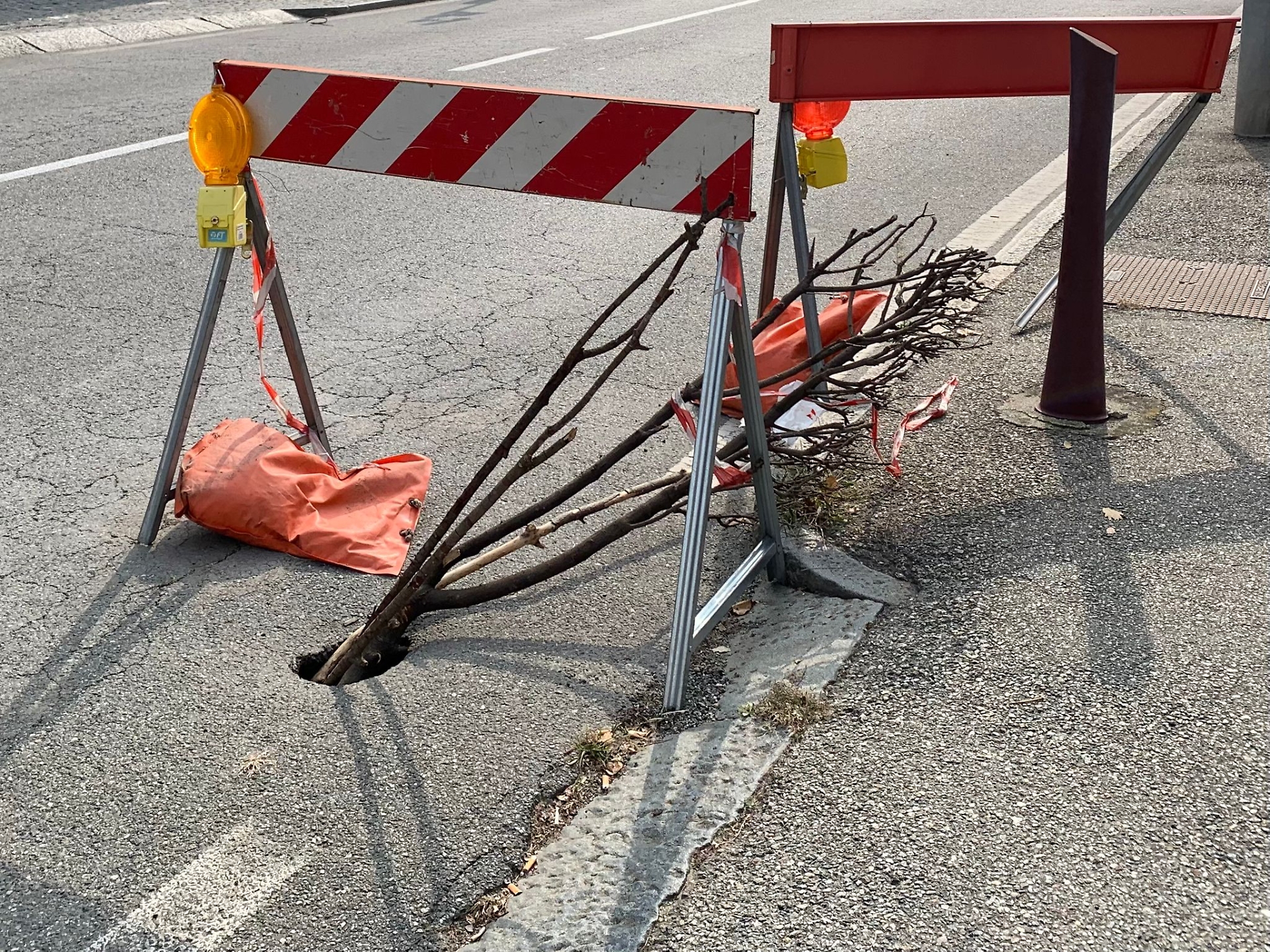 via torino