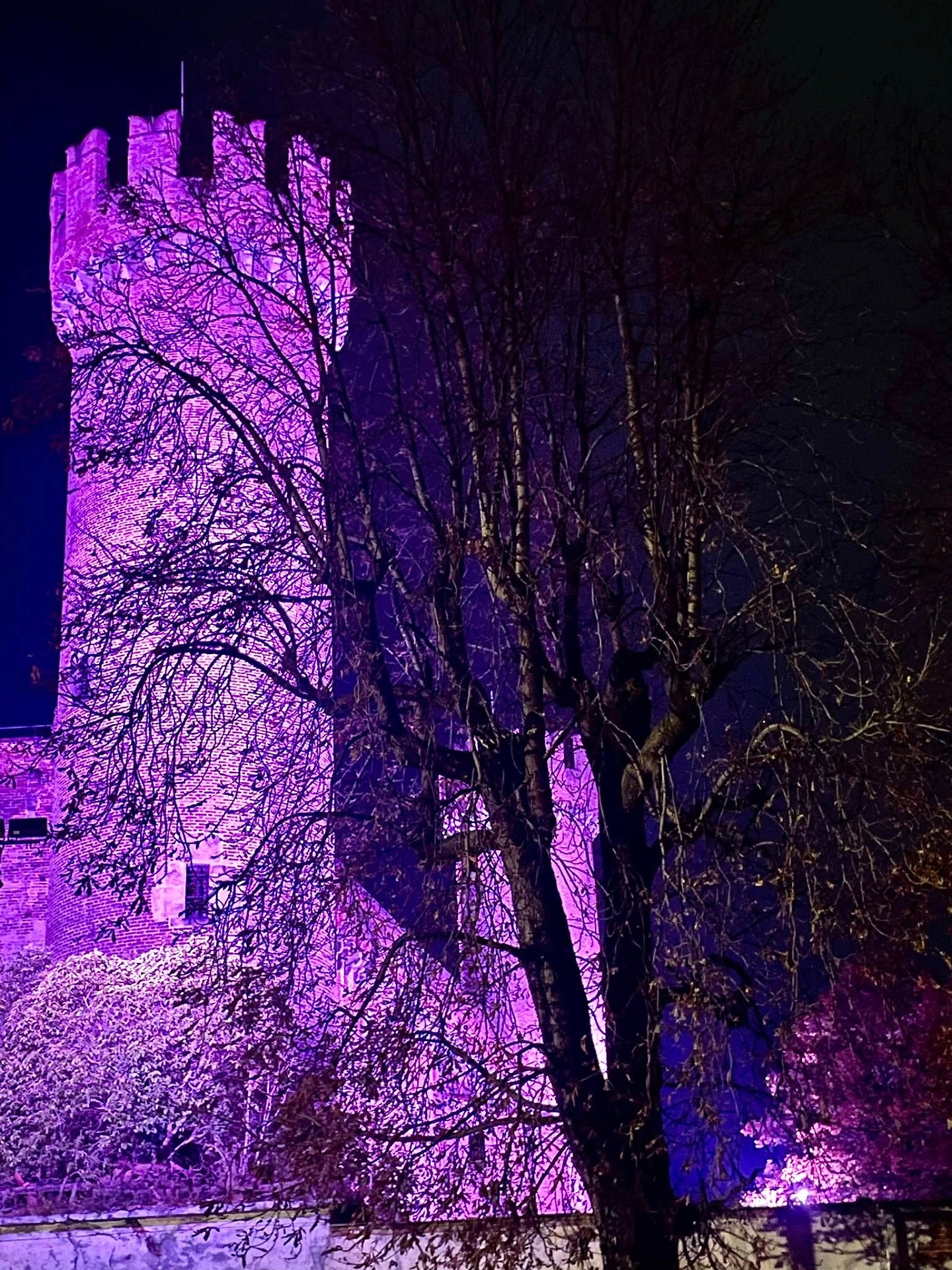 il castello