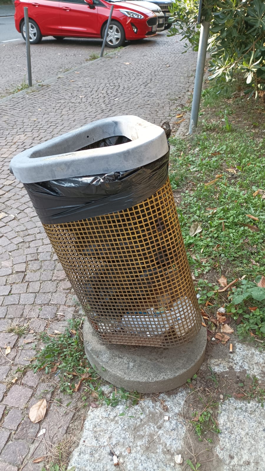 foto