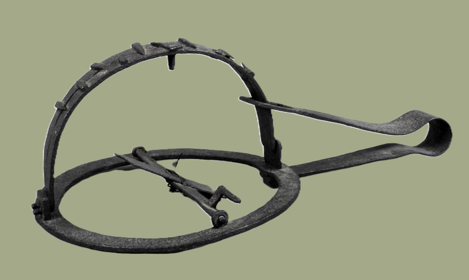 Una tagliola per lupi