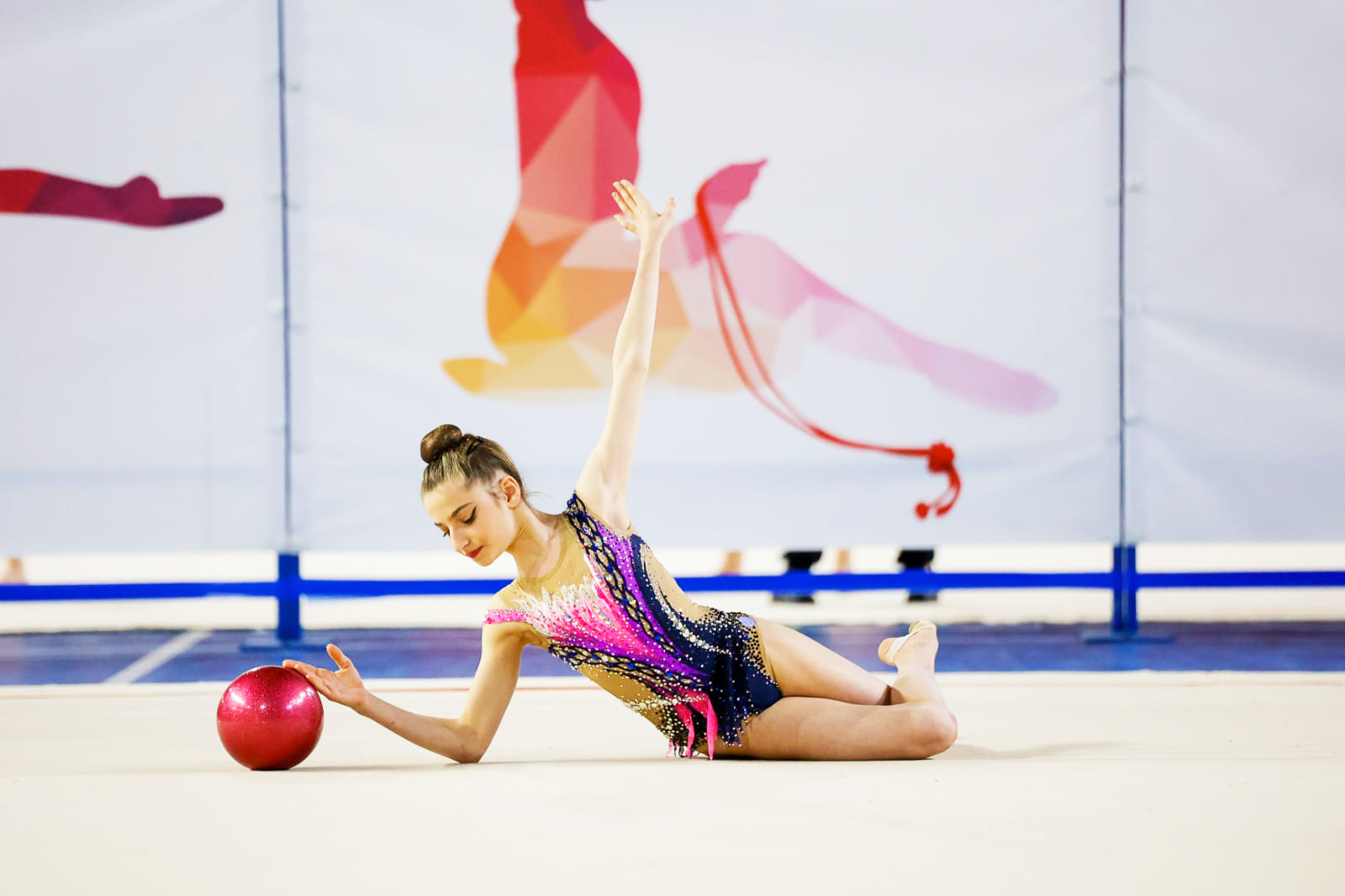 Eurogymnica Chivasso 1 26