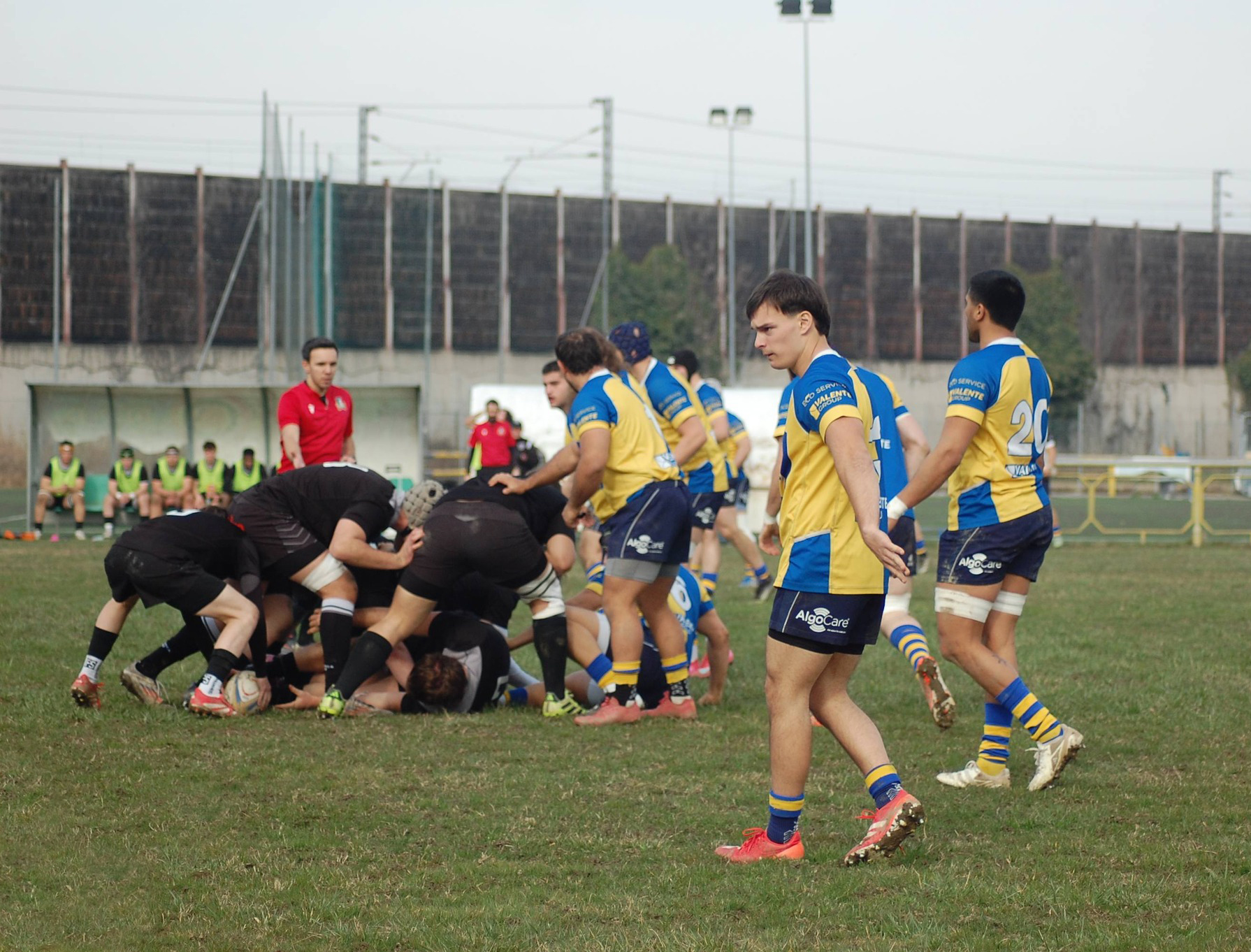 VII Rugby Torino petrarca
