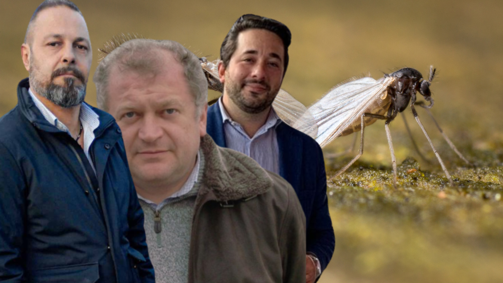 i consiglieri comunali